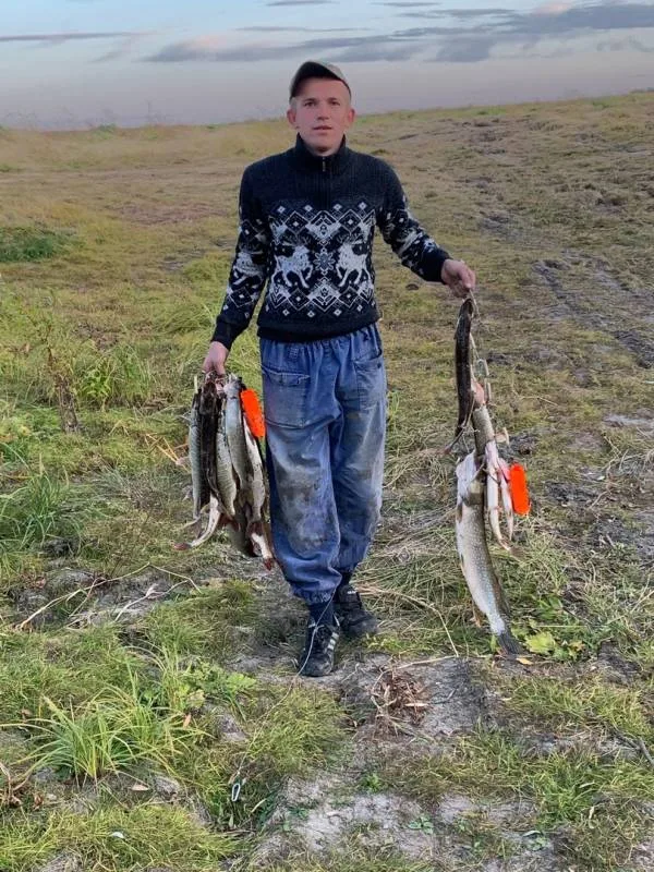 Щука