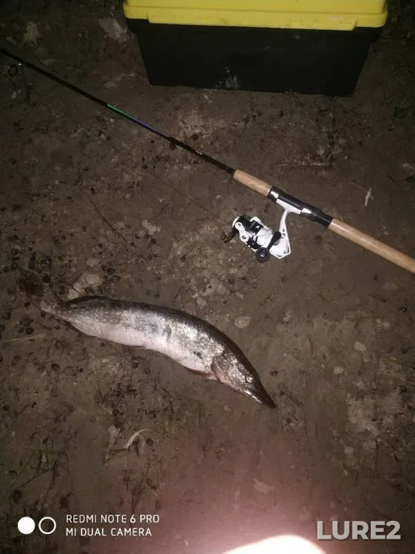 Щука — Омь, 12 окт. 2019 г.
