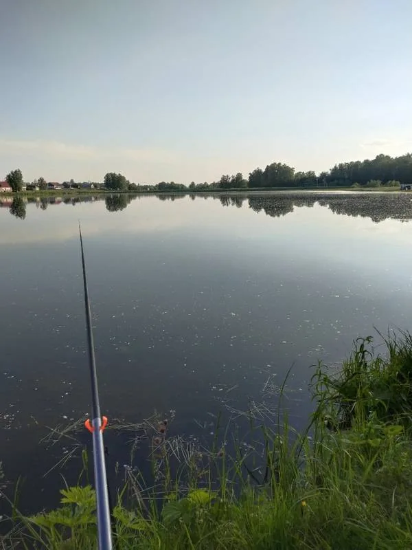 Окунь