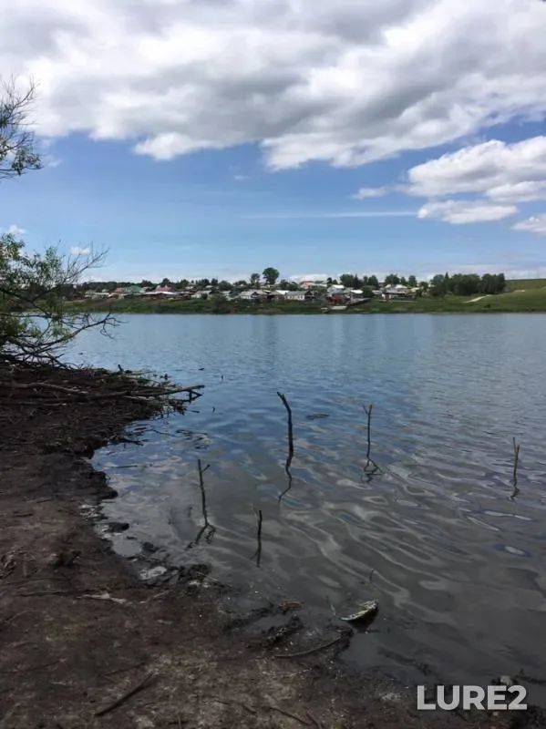 Карась — Чернодыриха, 16 июн. 2019 г.