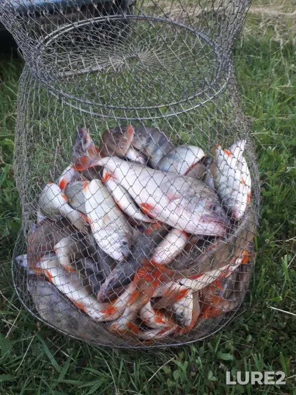 Окунь — Чёрное, 15 июн. 2019 г.