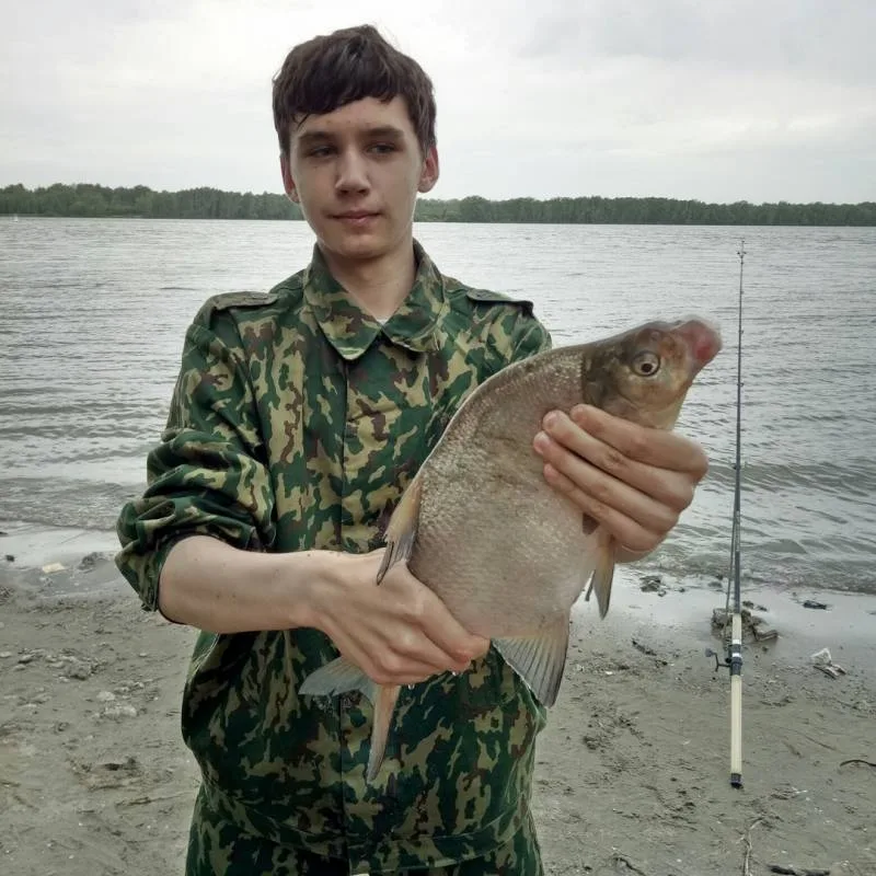 Лещ, Язь