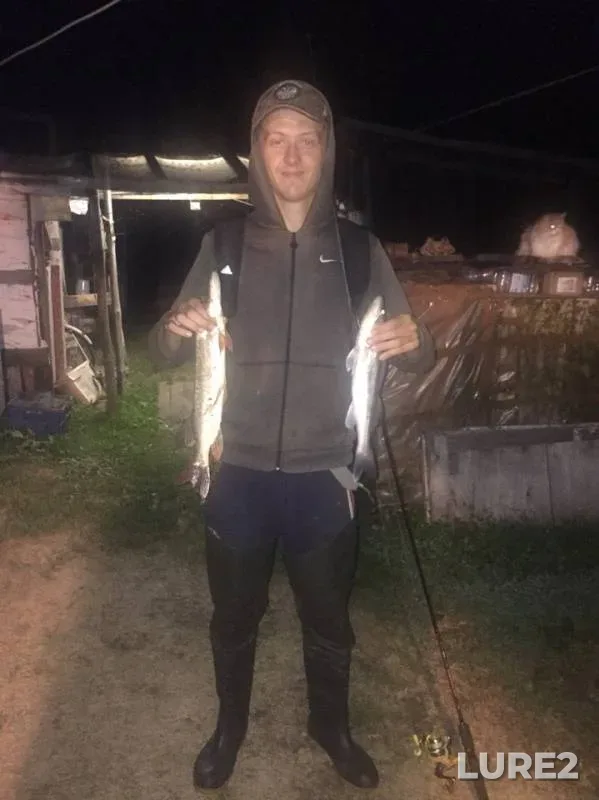 Щука, Судак — Обь, 18 авг. 2019 г.