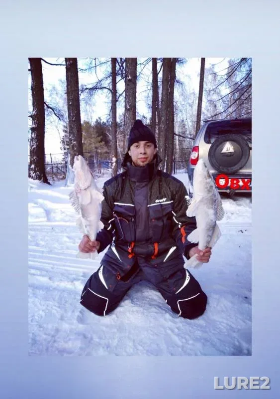 Судак — Новосибирская область, 25 нояб. 2019 г.