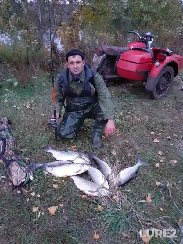 Жерех — Лавочное, 23 сент. 2019 г.