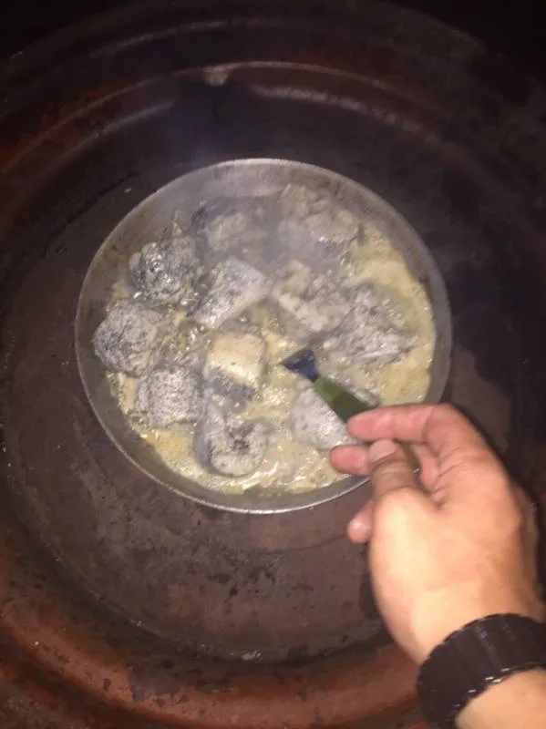 Щука