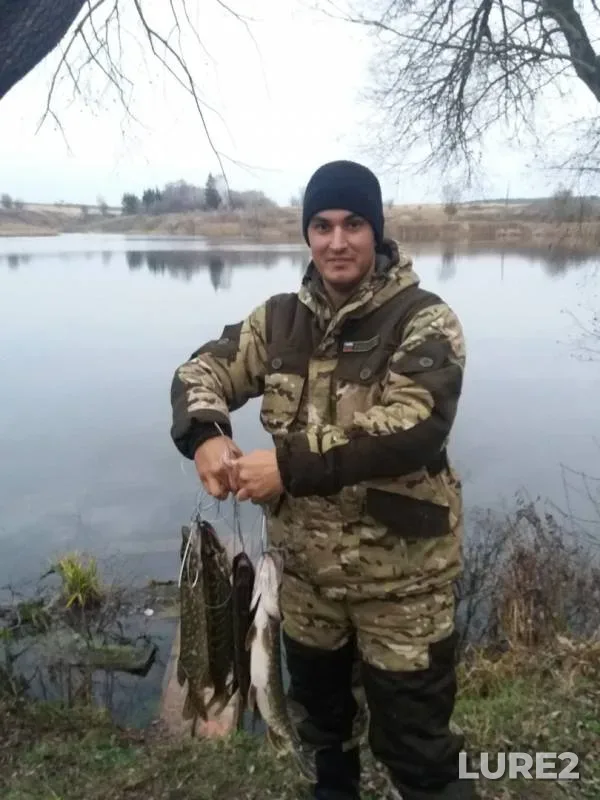 Щука