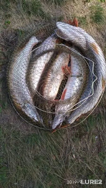 Щука — Сакмарское, 28 сент. 2019 г.