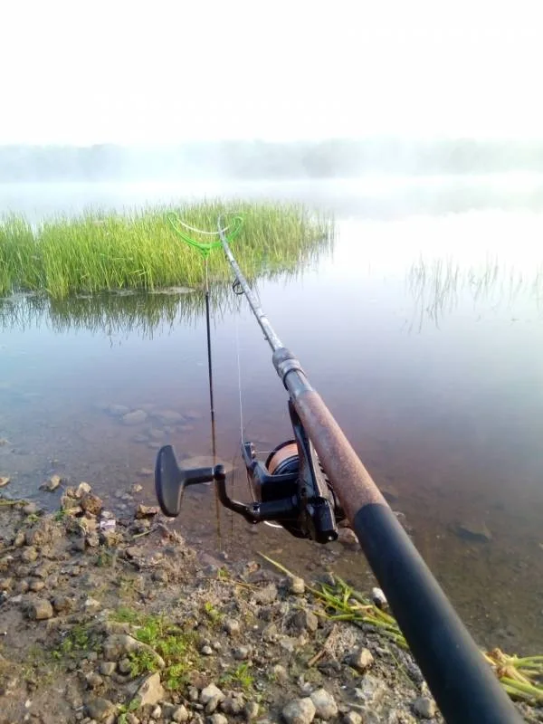 Лещ, Язь