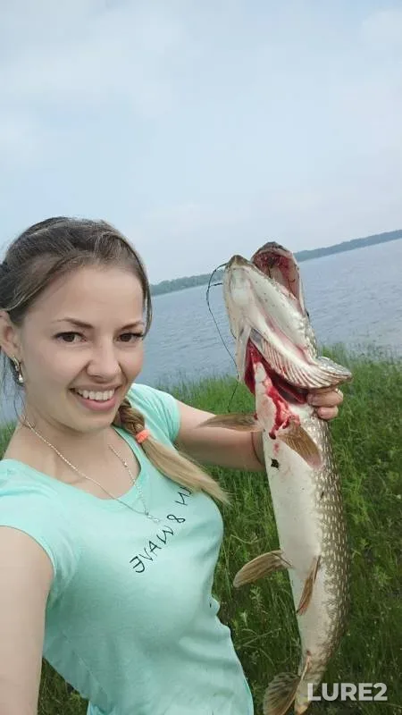 Щука — Ханты-Мансийский автономный округ — Югра, 31 июл. 2019 г.