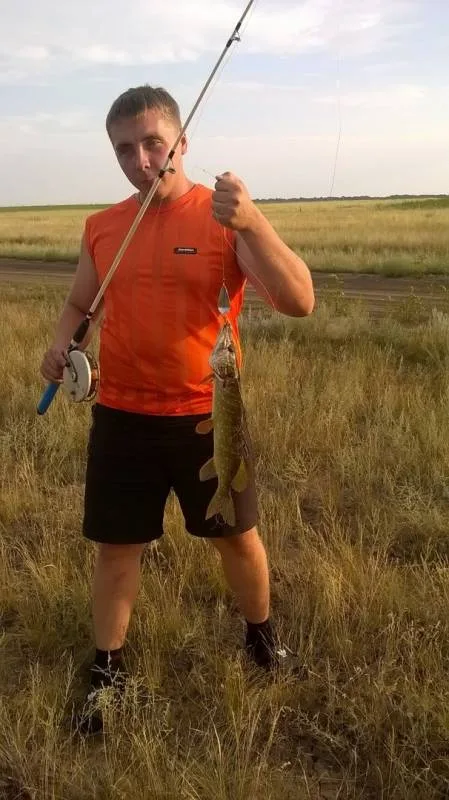 Щука