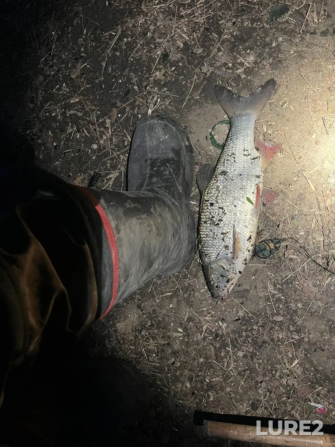Карась — Омь, 16 мая, 22:47