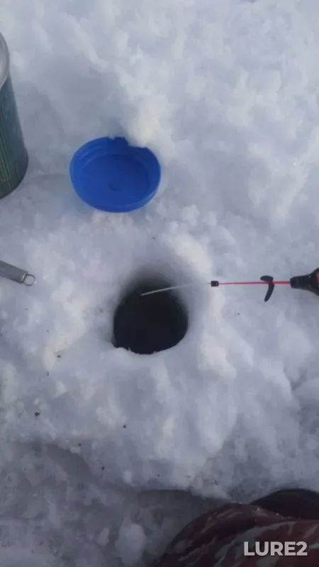 Щука, Плотва — Вьюна, 11 мар. 2023 г.