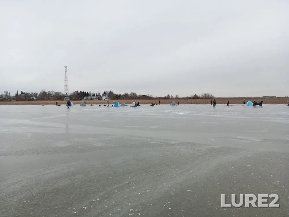 Окунь — Ирмень, 23 нояб. 2023 г.