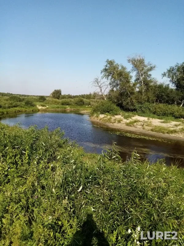 Язь, Окунь — Бурла, 12 июл.