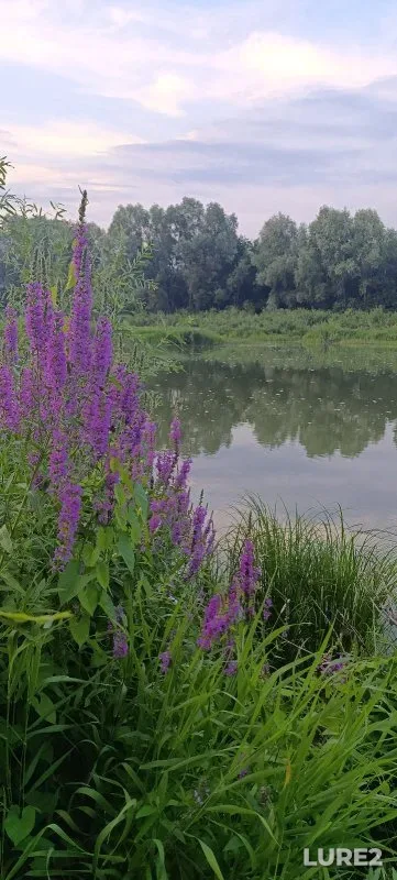 Карась — Иня, 16 июл.