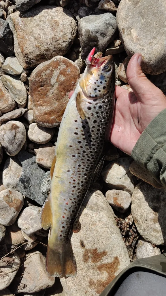 Кумжа — Куштумга, 28 мая 2025 г.